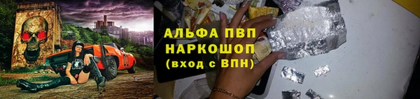 прущие грибы Краснослободск