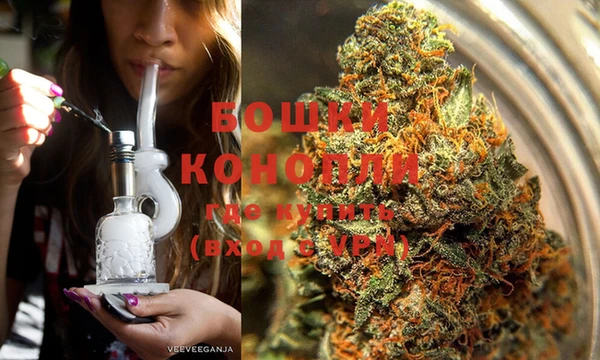 прущие грибы Краснослободск
