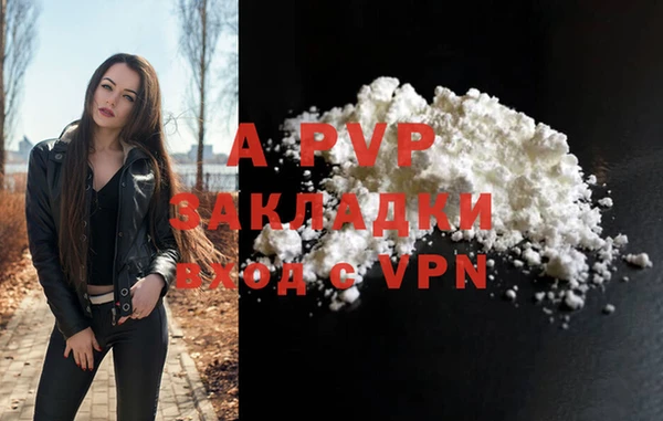 прущие грибы Краснослободск