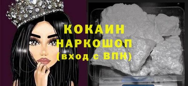 прущие грибы Краснослободск