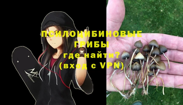 прущие грибы Краснослободск