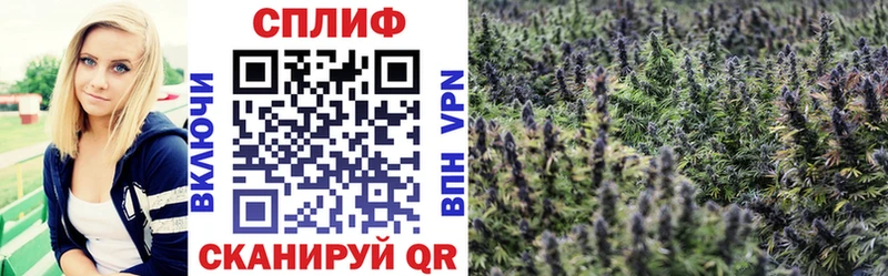 Конопля Ganja  Купить закладки  Суздаль 
